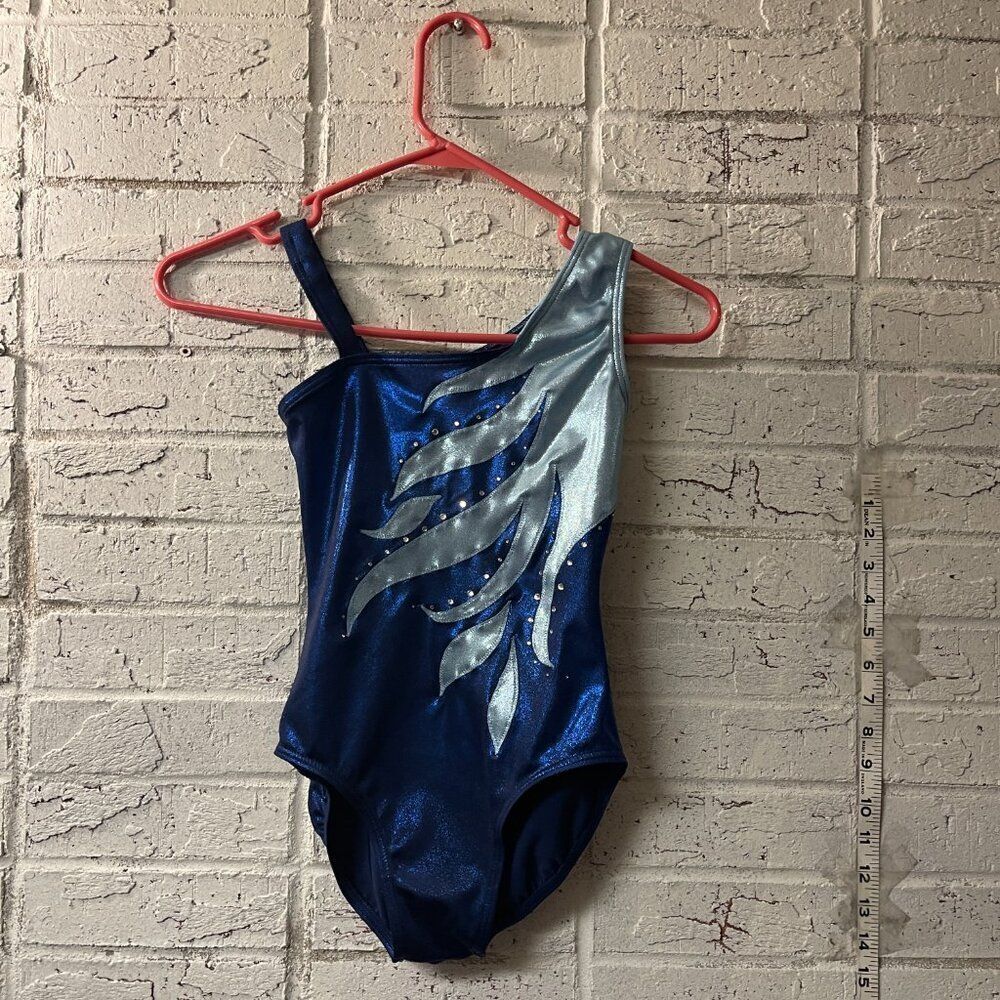 Little Girl Balera Blue Silver Dance Gymnastics Leotard 4